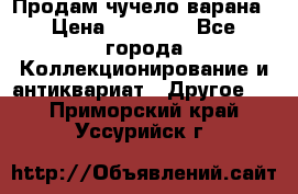 Продам чучело варана › Цена ­ 15 000 - Все города Коллекционирование и антиквариат » Другое   . Приморский край,Уссурийск г.